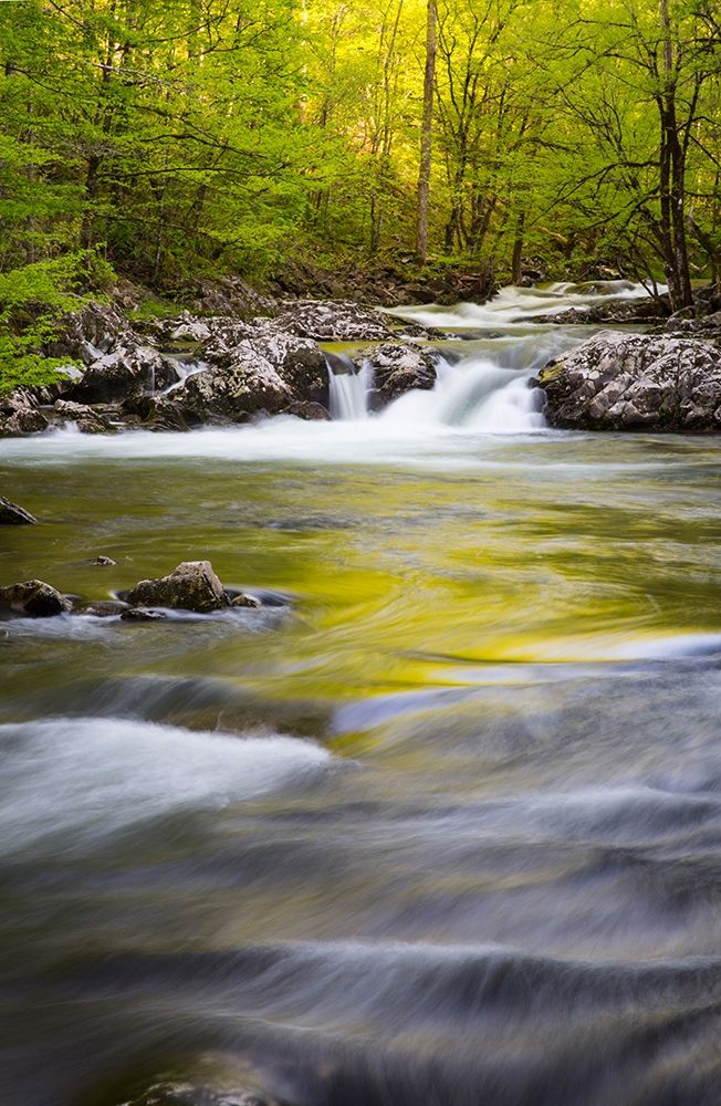 Tennessee Sparks Lane in the spring at Cades Cove